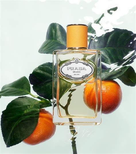 prada mandarine 100ml|Infusion Mandarine Prada for women and men .